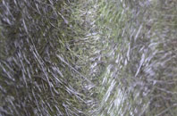 Marford fibreglass roof work